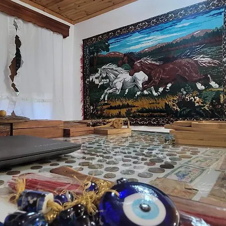 Emily Guest house 3*