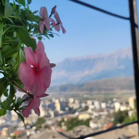 Emily Guest house 3*