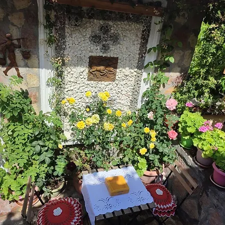 Emily Guest house 3*